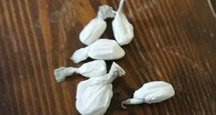 cocaina