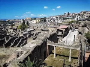 scaviercolano