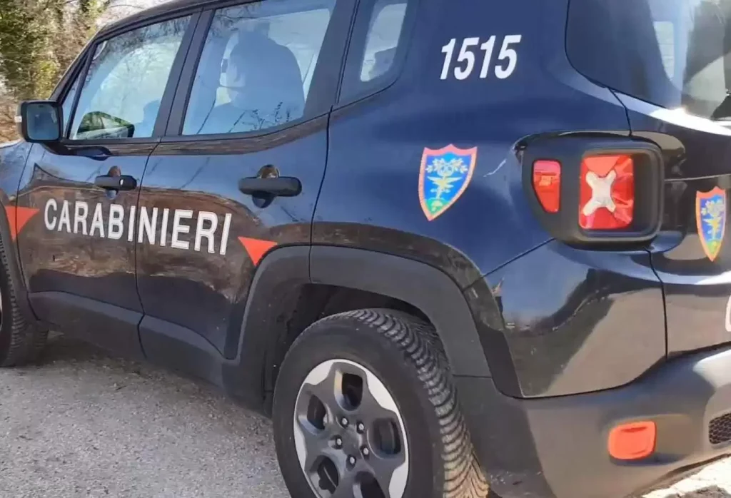 taglio-abusivo-alberi-montella