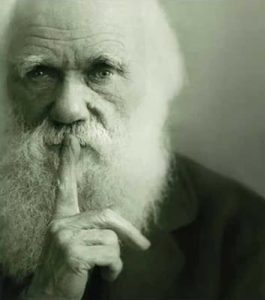 Darwin