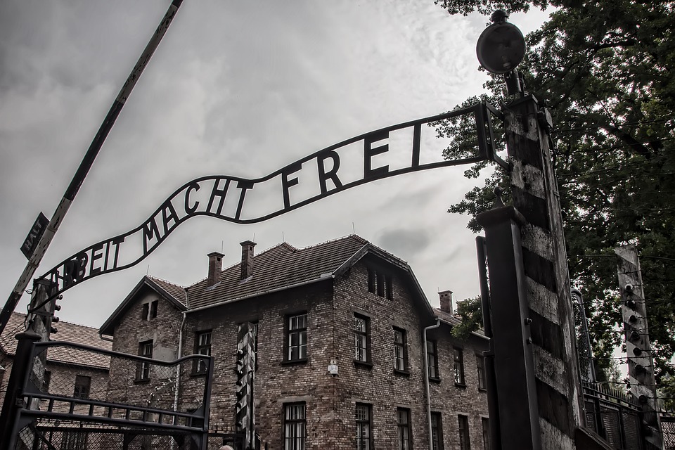 Bayer esperimenti Auschwitz