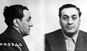tony-accardo