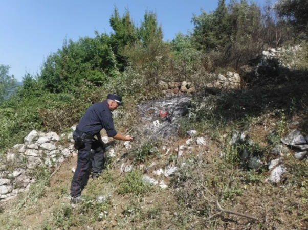 SantAgata-de-Goti-incendio-boschivo
