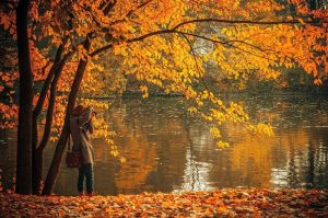 Autunno 19 Ecco Le Frasi Piu Belle E Originali Da Condividere