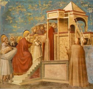 Giotto (Presentazione delle Beata Vergine Maria)