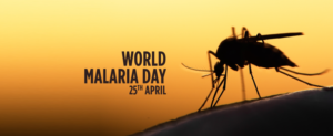 giornata mondiale contro la malaria