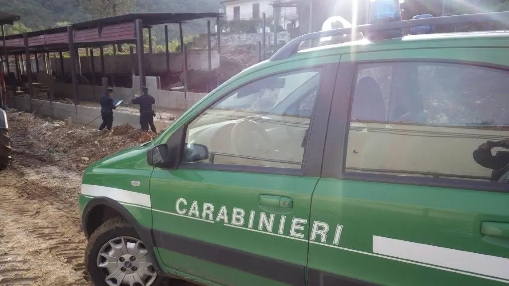 abusi-edilizi-vairano-patenora-sequestri-allevamento-zootecnico