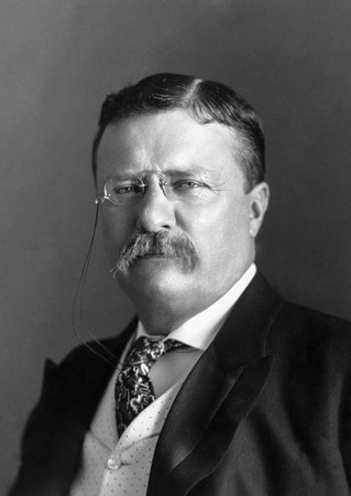 Theodore-Roosevelt