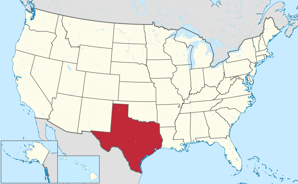 LEGA di zinco Gold Tone del Texas Mappa della collana con pendente America Per Uomini Donne 