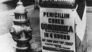 penicillina2