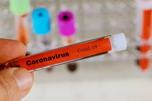 coronavirus-bollettino-spallallanzani