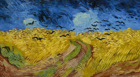 Vincent Van Gogh vita arte passione tormento