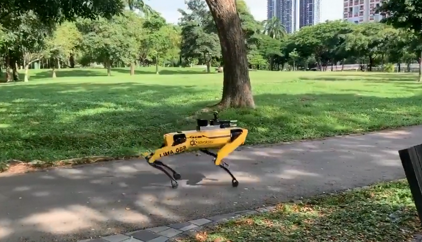 cane-robot-distanze-parchi-singapore