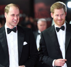 William e Harry