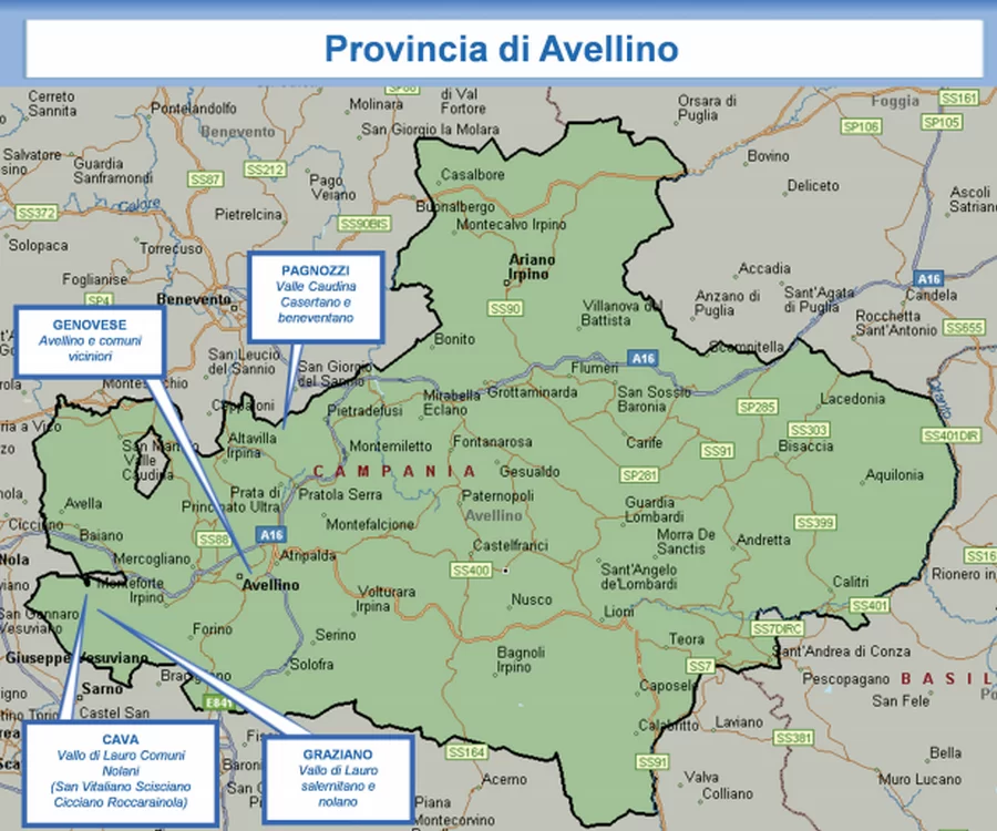 relazione-dia-famiglie-camorra-potenti-avellino-2019-dicembre