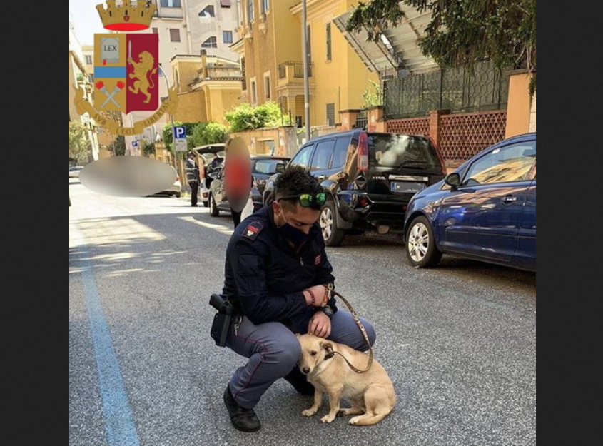 cane-abbandonato-roma-adottato-poliziotto