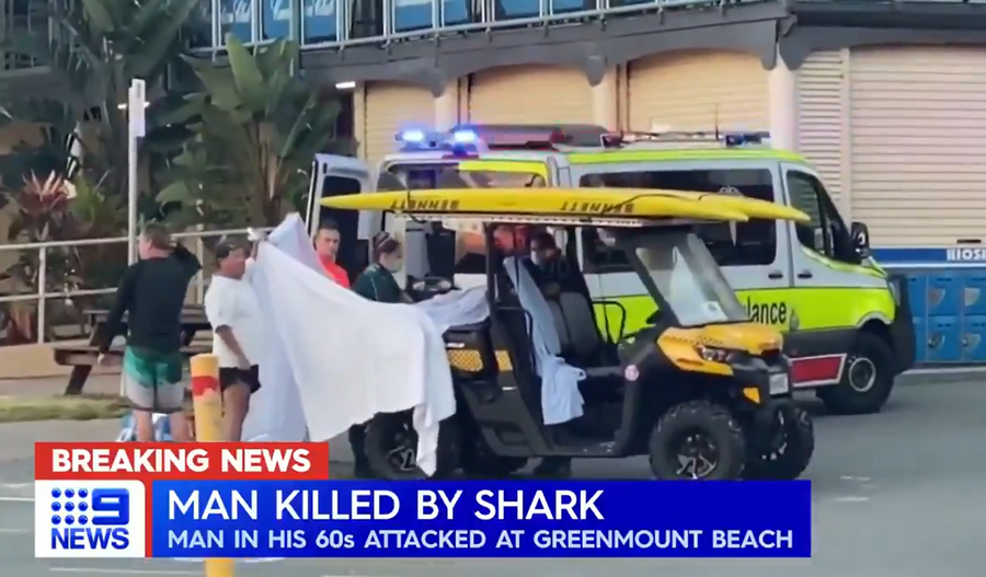 surfista-ucciso-squalo-bianco-australia-8-settembre