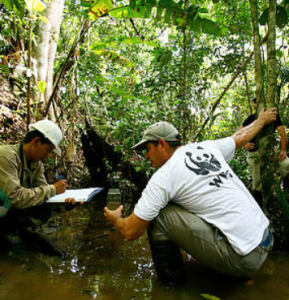 wwf-a-lavoro