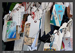 Poesia_on_Yoko_Ono’s_Wish_Tree,_MoMA