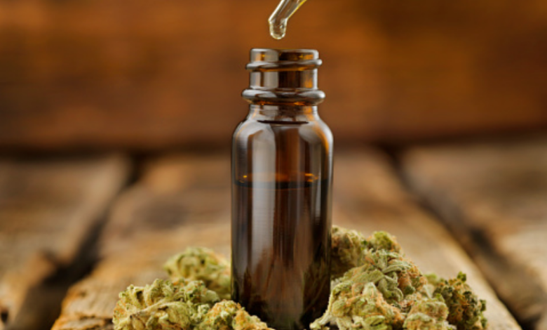 cannabis-terapeutica-onu
