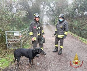 Cane salvato vigili fuoco video virale