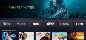 Disney + star