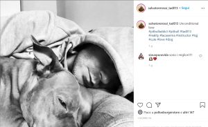 salvatore rossi ig