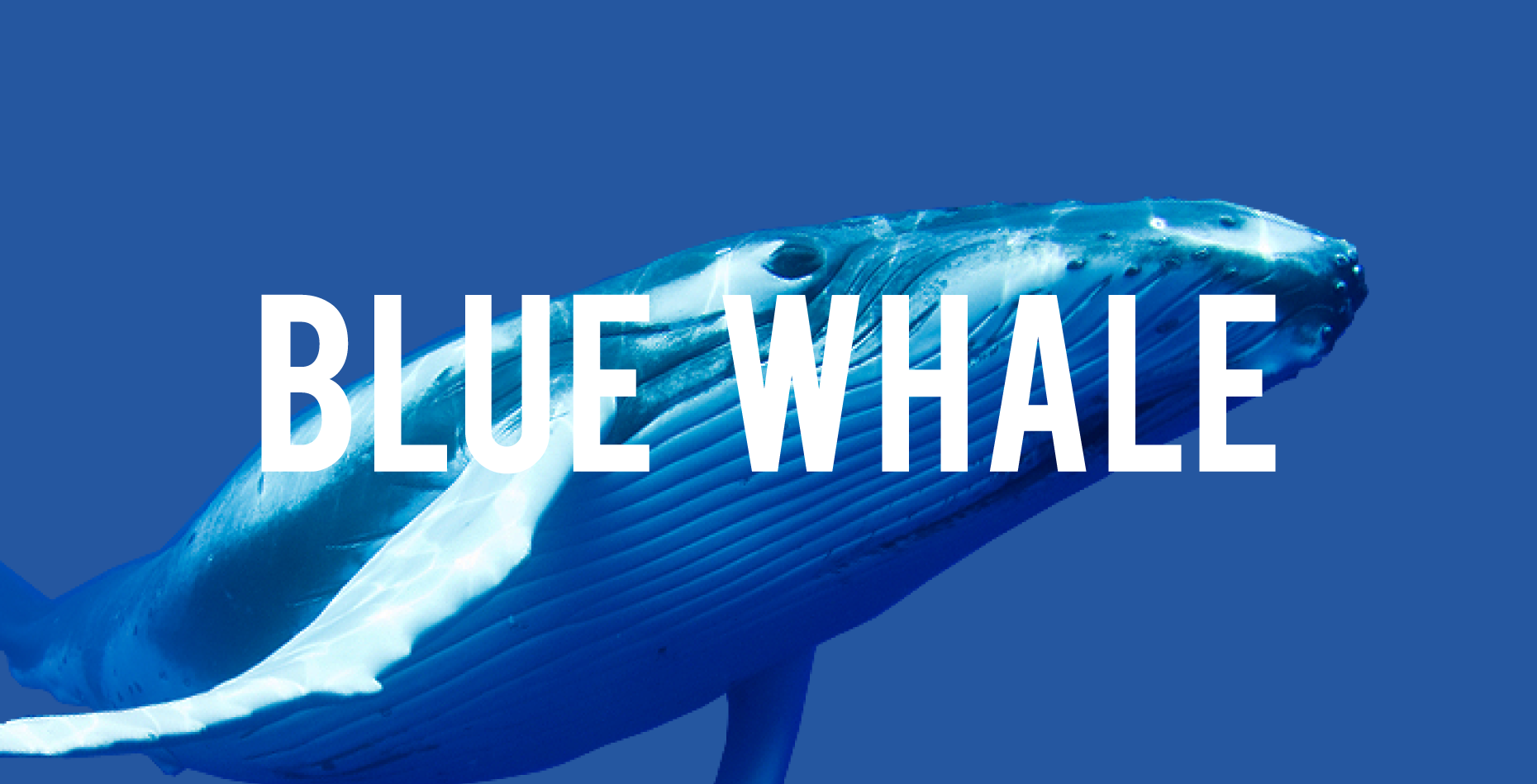 blue-whale-challenge-prima-condanna-italia-curatore