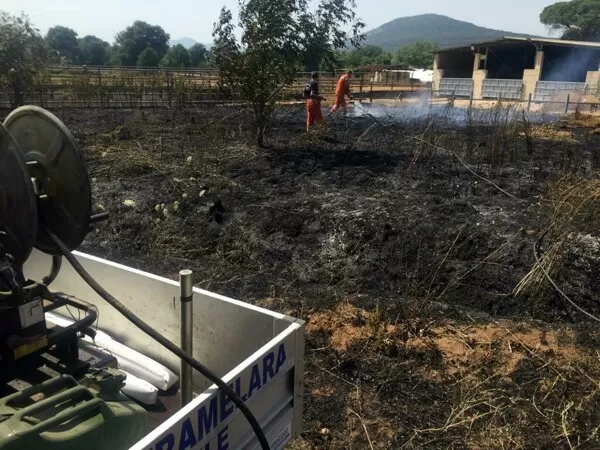 pietramelara-incendio-azienda-bufalina