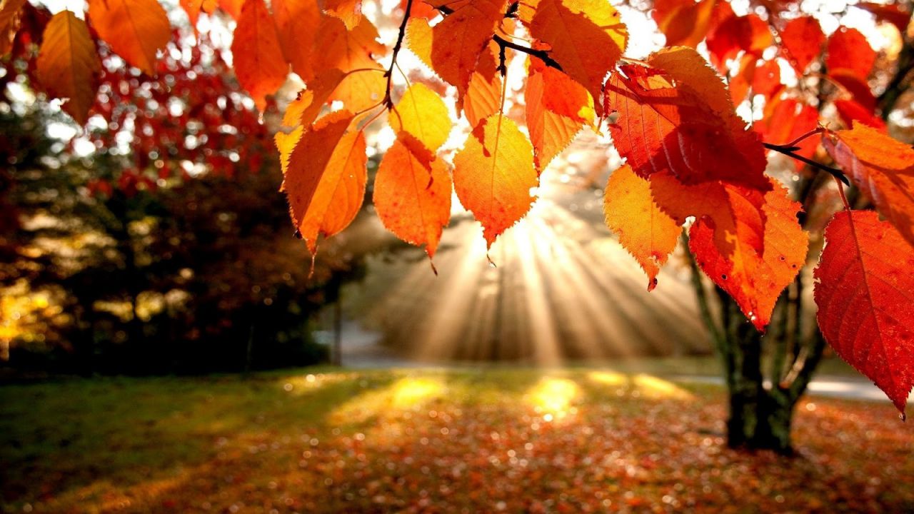 poesie famose autunno