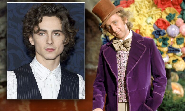 willy-wonka-timothee
