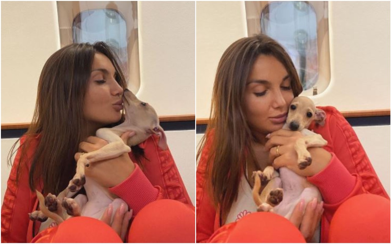 Elettra-Lamborghini-cane-