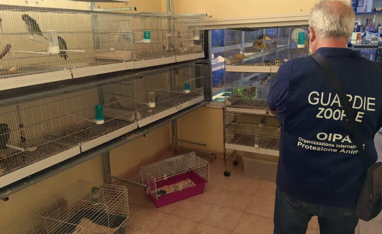 roma multe negozi animali 10 gennaio