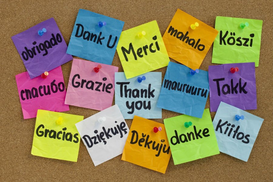 Le migliori frasi, citazioni e aforismi di ringraziamento: le più belle