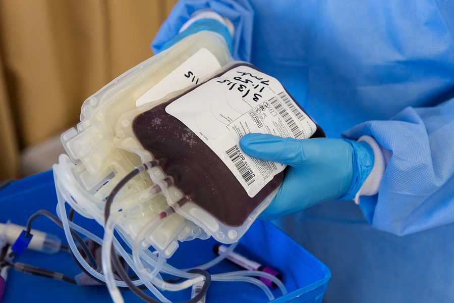 guerra ucraina emergenza sangue avis donate