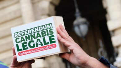 referendum cannabis corte costituzionale inammissibile