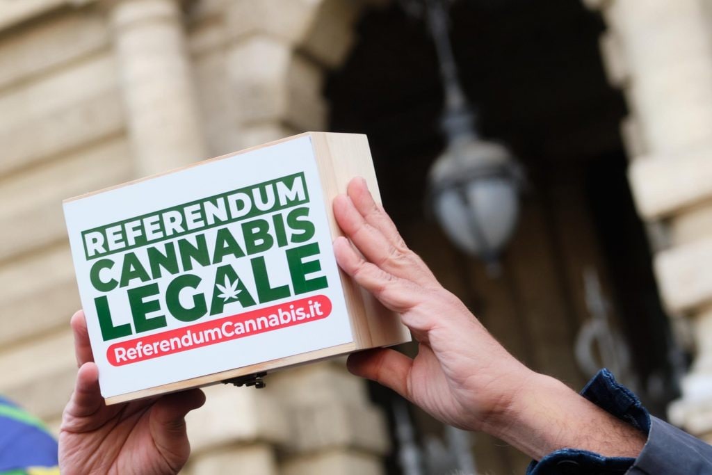 referendum cannabis corte costituzionale inammissibile