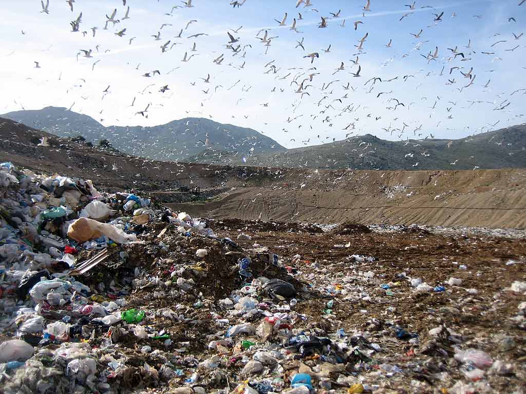 Giugliano scoperta discarica rifiuti pericolosi