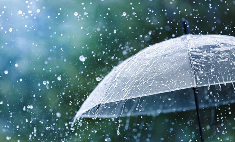 Le migliori frasi, citazioni e aforismi sulla pioggia: le più belle