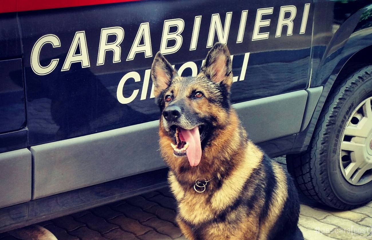 carabinieri-cinofili-Catania