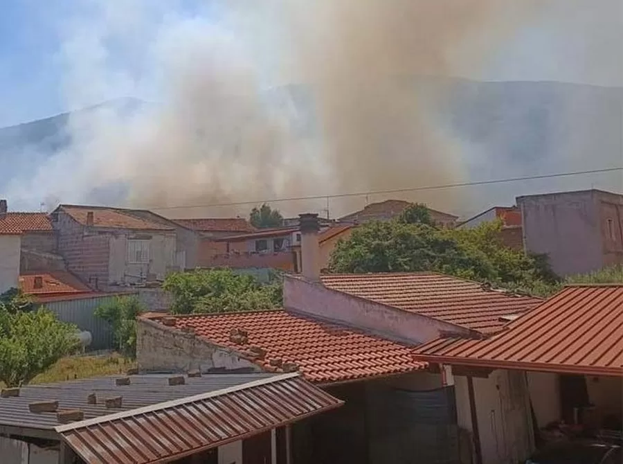 incendio-falciano-massico-ulivi
