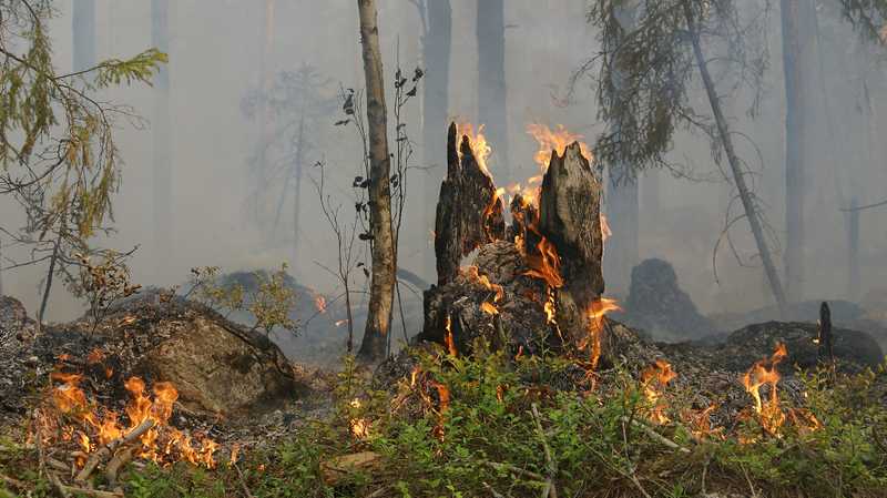 incendi boschivi grave pericolosità