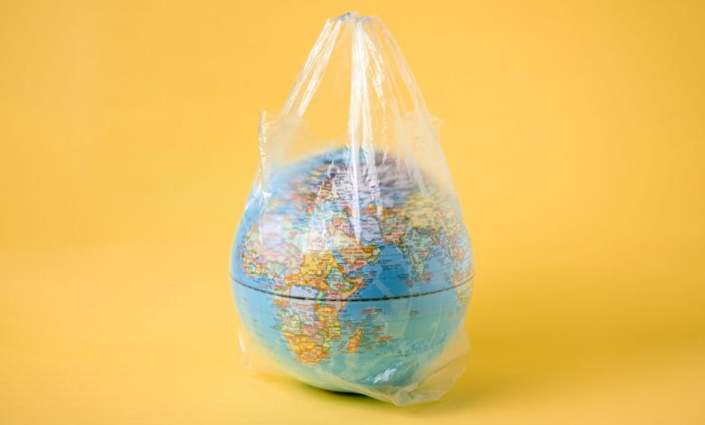 giornata mondiale sacchetti plastica
