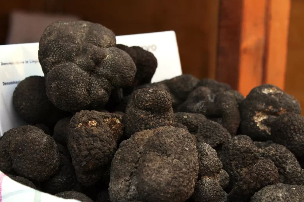 tartufo-benevento-prezzo-aumento-2022