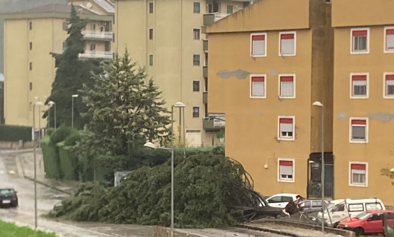 maltempo-campania-danni-oggi-22-novembre-napoli-salerno-avellino-benevento-caserta