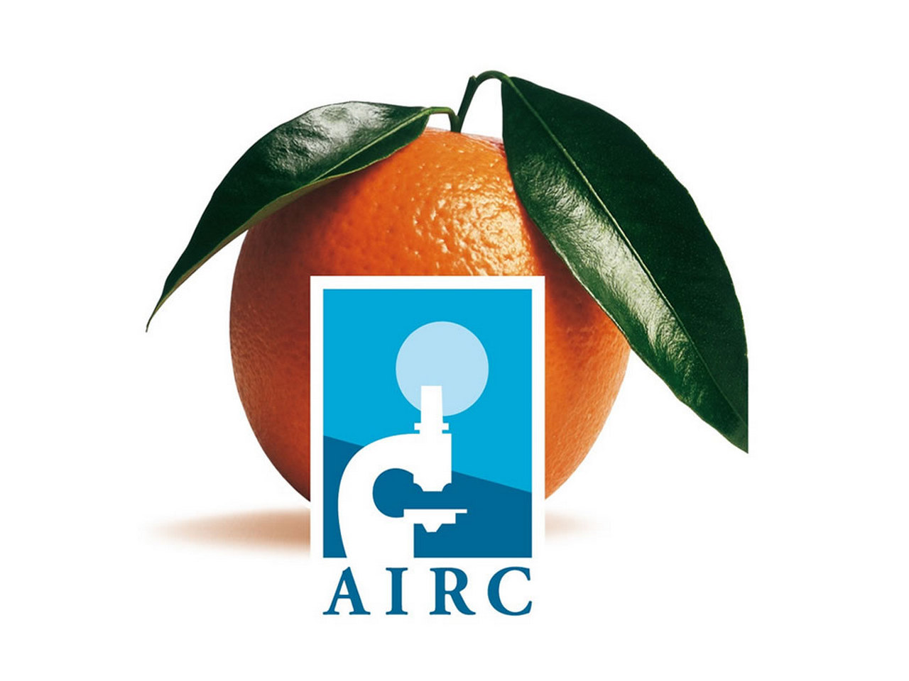 arance-airc-2023-prezzo-costo-dove-trovare-piazze
