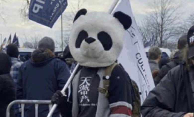 capitol hill arrestato uomo travestito panda