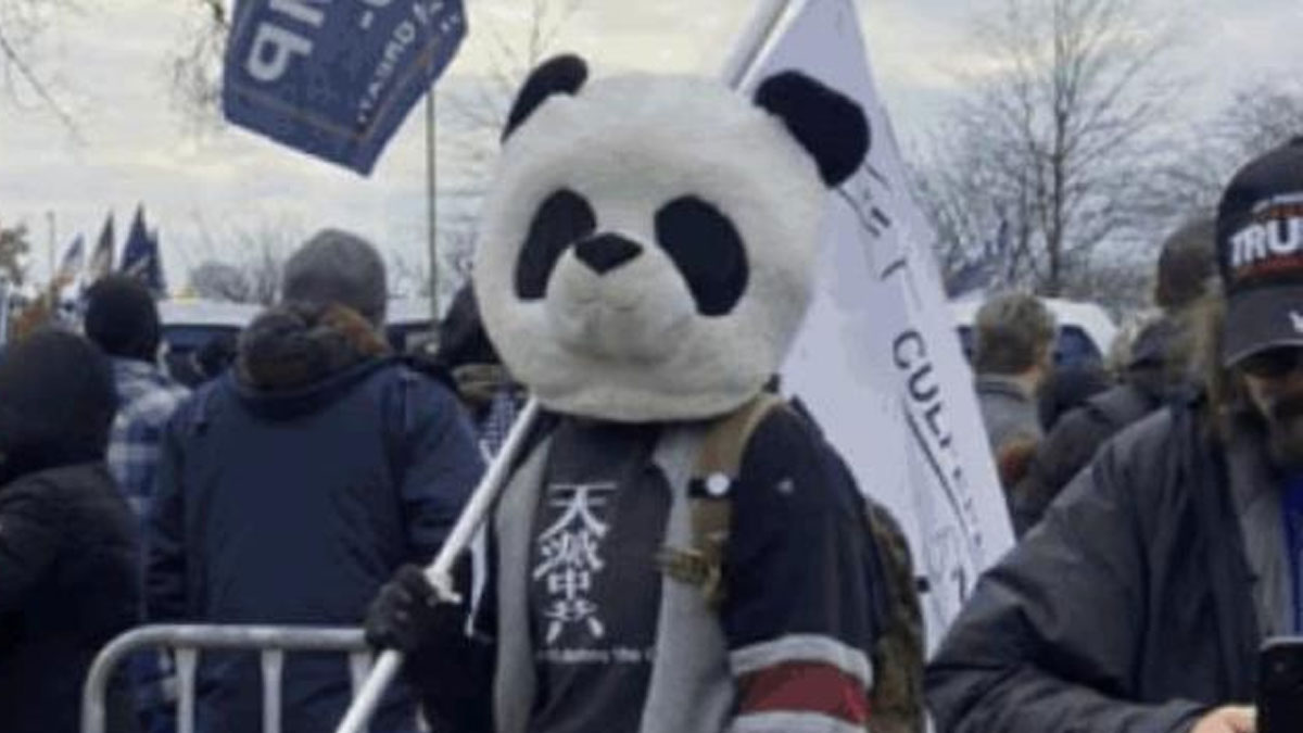 capitol hill arrestato uomo travestito panda