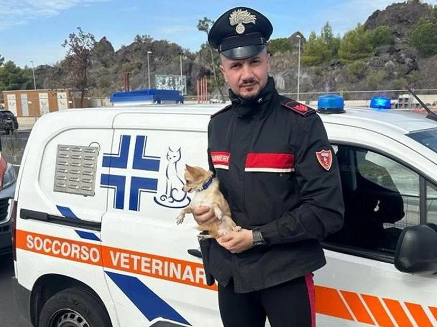 catania-cane-salvato-carabinieri