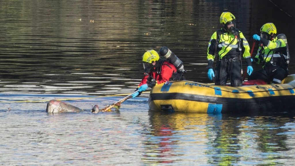 Milano trovato cadavere laghetto artificiale